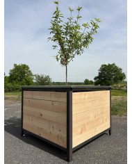 Équipement Arbocycle pour compostage des biodéchets dans les collectivités