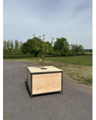 Vue latérale du composteur Arbocycle biodéchets pour tri écologique