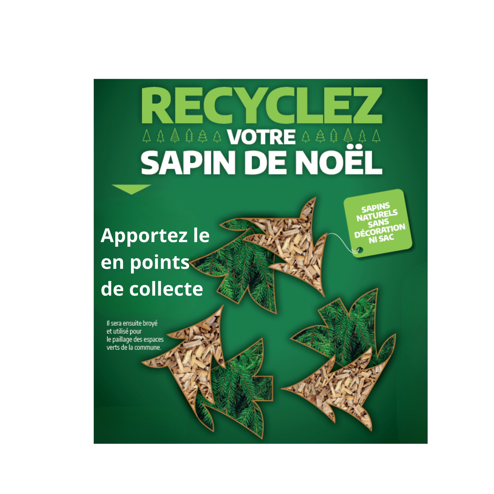 ou jeter son sapin de noel