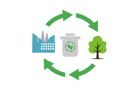 Où jeter son sapin de Noël après les fêtes ?